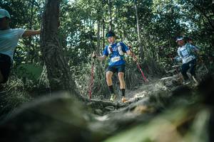 BIB: 
                            <button type="button" onclick="openModal(25990897)" class="btn btn-primary btn-sm float-right btn-popup" data-toggle="modal" data-target=".modal-high-quality">
                        <i class="fas fa-shopping-cart"></i> Add to Cart
                    </button>
                                            <button type="button" onclick="isThisMe(25990897, true)" class="btn btn-success btn-sm float-right btn-popup btn-isme hidden" data-toggle="tooltip" data-placement="bottom" title="นี่คือรูปของคุณใช่ไหม คลิกที่นี่เพื่อเอาเข้าอัลบั้ม">
                        <i class="fas fa-plus"></i> Add to album
                    </button>
                    <button type="button" onclick="isThisMe(25990897, false)" class="btn btn-warning btn-sm float-right btn-popup btn-isnotme hidden">
                        <i class="fas fa-ban"></i> Remove from album
                    </button>